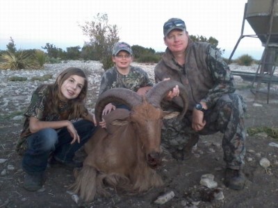 Aoudad hunts