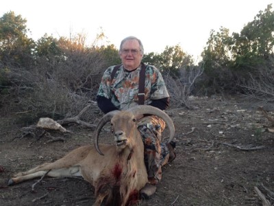 Aoudad hunts