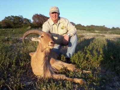 Aoudad hunts