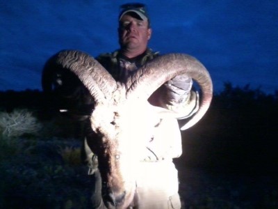 Aoudad hunts