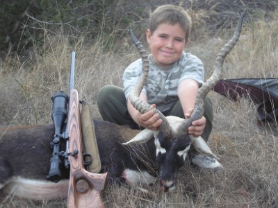 Blackbuck Antelope Hunt