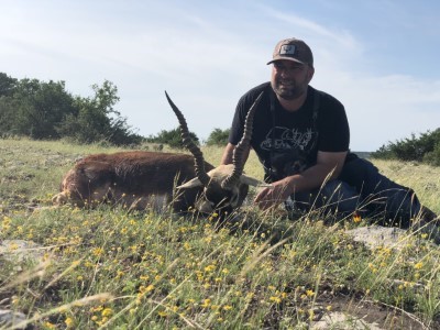 Blackbuck Antelope Hunt