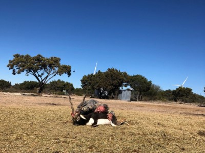 Blackbuck Antelope Hunt