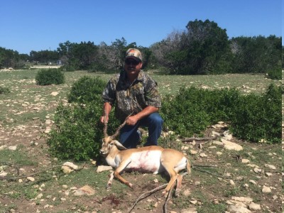 Blackbuck Antelope Hunt