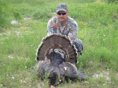 Turkey, Dove and Bird Hunt