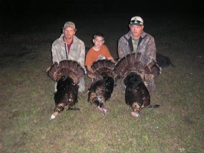 Turkey, Dove and Bird Hunt