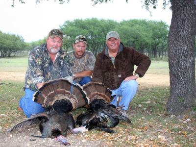 Turkey, Dove and Bird Hunt