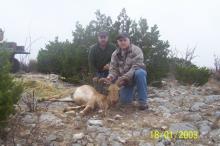 Texas Hunting Outfitters - Hunting Success 2013