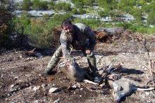 Texas Hunting Outfitters - Hunting Success 2013