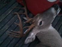 Texas Hunting Outfitters - Hunting Success 2013