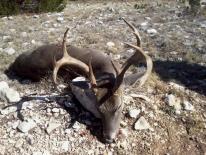 Texas Hunting Outfitters - Hunting Success 2013