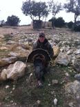 Texas Hunting Outfitters - Hunting Success 2013