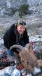 Aoudad Sheep 2015