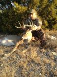 Whitetail 2014