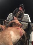 Aoudad Hunt 2018