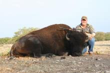 Texas Hunting Outfitters - WIld Buffalo Hunts