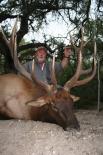 Texas Hunting Outfitters - Elk Hunts