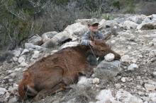 Texas Hunting Outfitters - Elk Hunts