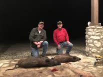 Hog Hunt 2019