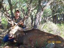 Texas Hunting Outfitters - Red Stag Hunts