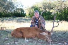 Texas Hunting Outfitters - Red Stag Hunts